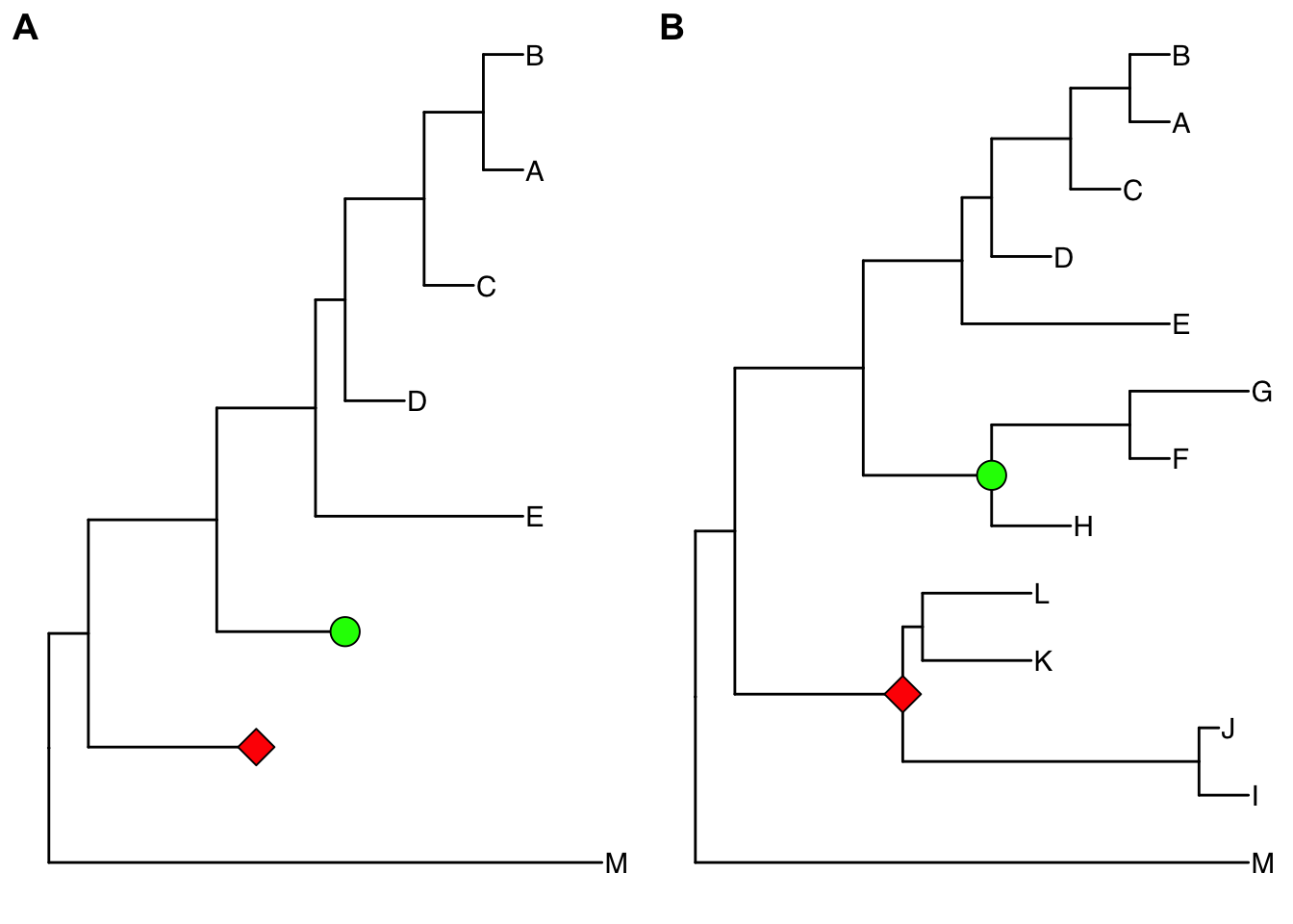 Collapsing selected clades and expanding collapsed clades. Clades can be selected to collapse (A) and the collapsed clades can be expanded back (B) if necessary as ggtree stored all information of species relationships. Green and red symbols were displayed on the tree to indicate the collapsed clades.