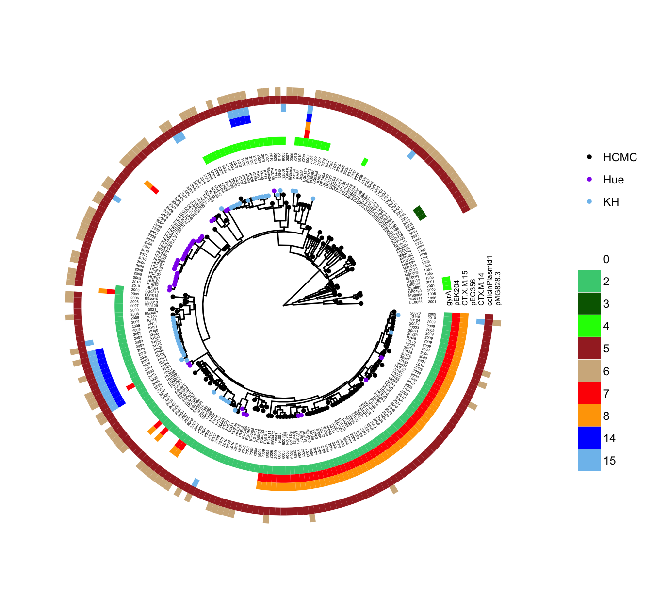 Example of annotating a tree with diverse associated data. Circle symbols are colored by strain sampling location. Taxa names and sampling years are aligned to the tips. Curated gene information were visualized as a heatmap (colored boxed on the outer circles).