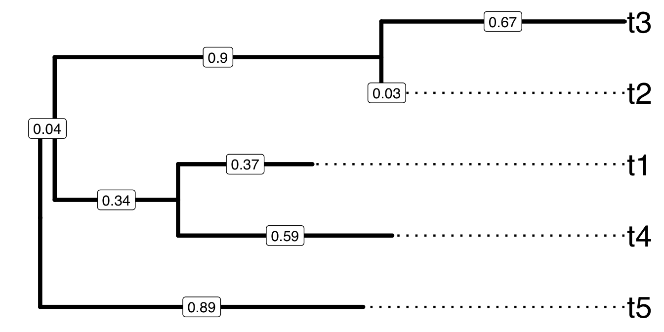 A sample tree for demonstrating Newick text to encode tree structure. Tips were aligned to right hand side and branch lengths were labelled on the middle of each branch.