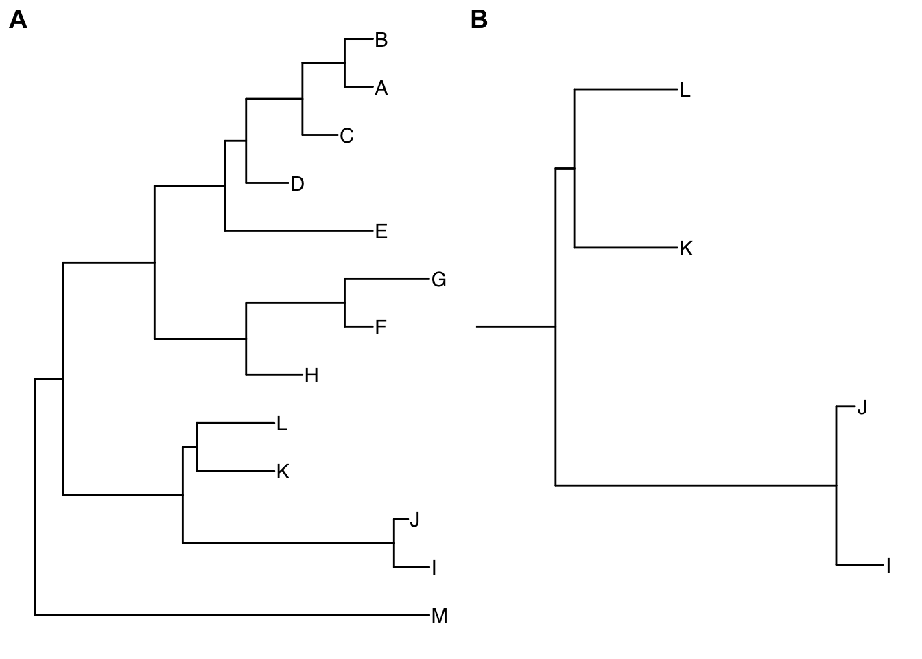 Viewing a selected clade of a tree. An example tree used to demonstrate how ggtree support exploring or manipulating phylogenetic tree visually (A). The ggtree supports visualizing selected clade (B). A clade can be selected by specifying a node number or determined by most recent common ancestor of selected tips.