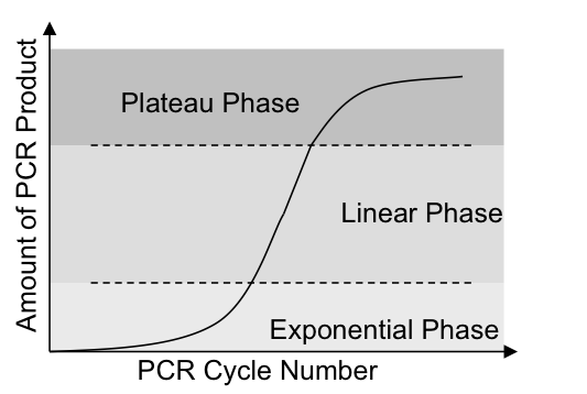 theoretical plot