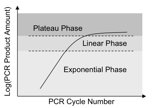 theoretical plot